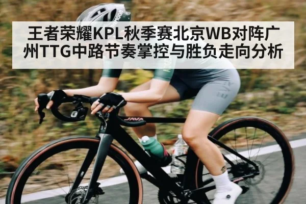 王者荣耀KPL秋季赛北京WB对阵广州TTG中路节奏掌控与胜负走向分析